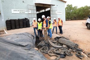 WhatsApp Image 2025-04-01 at 17.55.51