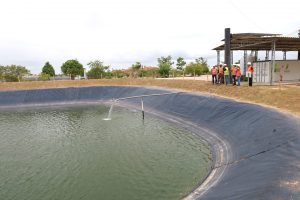 WhatsApp Image 2025-04-01 at 17.55.51