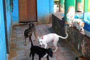 WhatsApp Image 2025-07-11 at 16.54.27 (1)