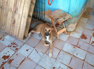 WhatsApp Image 2025-07-11 at 16.54.27 (1)