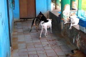 WhatsApp Image 2025-07-11 at 16.54.27 (1)