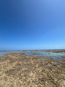 37a145e2-6364-4d60-b42d-6b35b6d877da