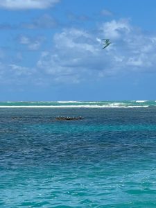 37a145e2-6364-4d60-b42d-6b35b6d877da