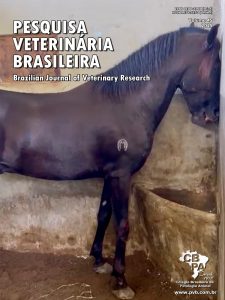 cac7e794-a530-4427-9e31-c5c470340039