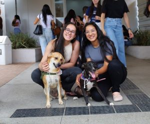 CESMAC promove Feira de Adoção e mobiliza comunidade em apoio à causa animal