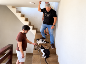 Alunos de Design do Cesmac desenvolvem novas identidades visuais para ONGs de proteção anima